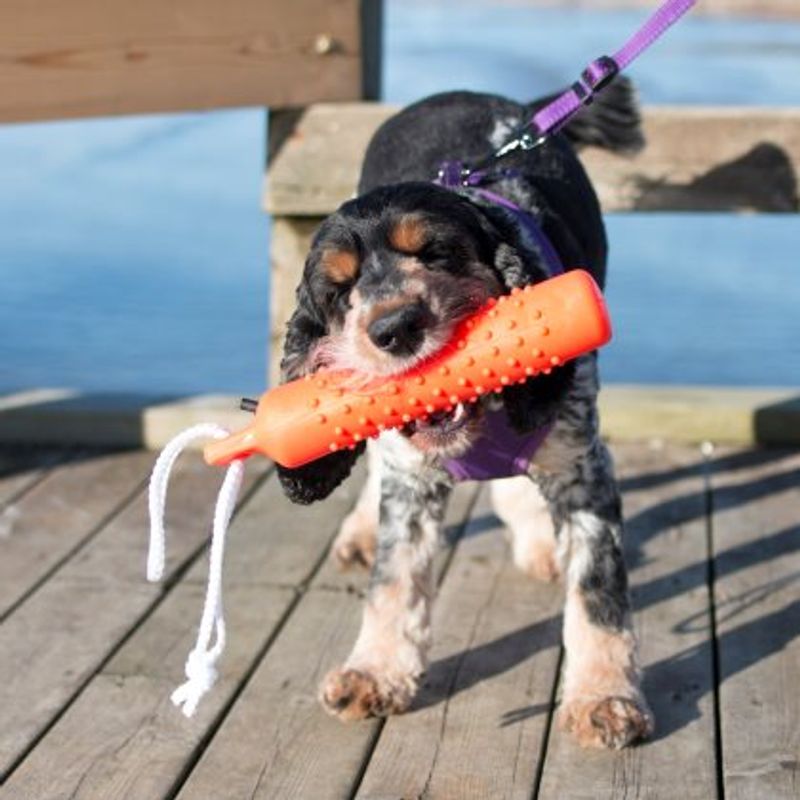 DOGMAN DUMMIE FLYTENDE