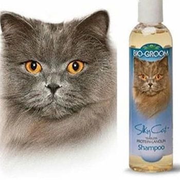 Hovedbilde Pels pleie