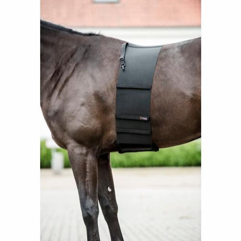 CATAGO BODY SHIELD