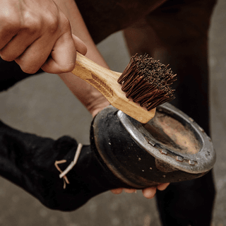 GROOMING DELUXE HOOF PICK - BROWN