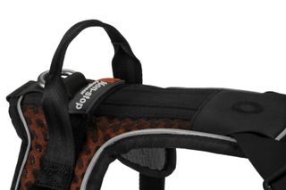 ROCK HARNESS