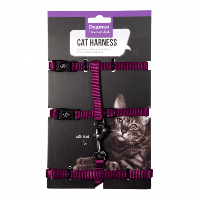 Hovedbilde KATTESELE-SETT FINDUS LILLA 