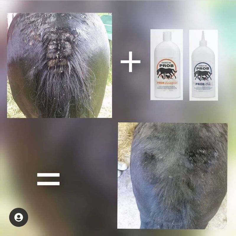 EKHOLMS PROB OLJE 500ml