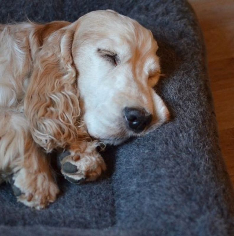 CANELANA ULLSENG M/OPPHØYDE KANTER