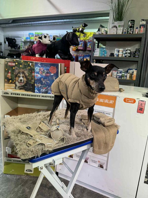 Yakatass Vinterjakke Beige - Intro tilbud 