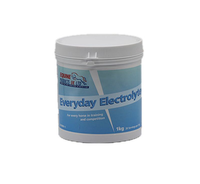 EVERYDAY ELECTROLYTE