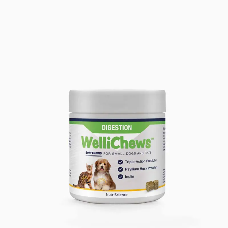 Wellichews Digestion Small Dog/cat