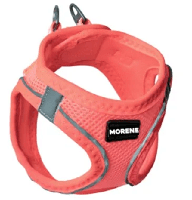 Hovedbilde MORENE SELE ROSA