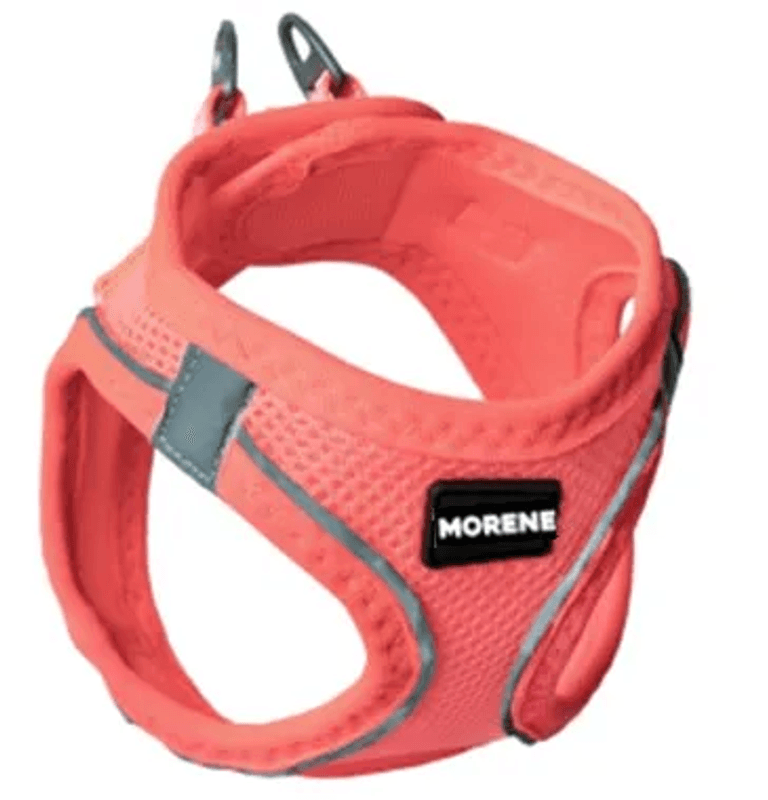 MORENE SELE ROSA