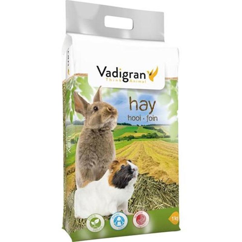 VADIGRAN ENGHØY