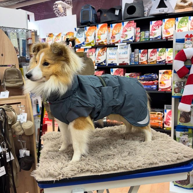Hovedbilde GRESSHOPPA VARMEDEKKEN FINNSKOGEN 