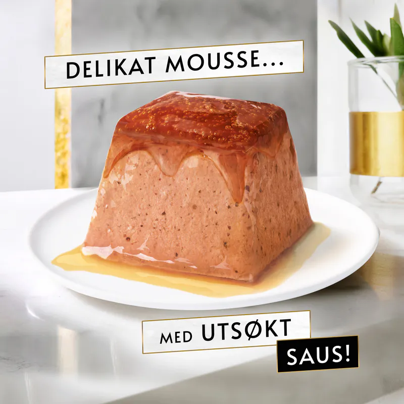 GOURMET REVELATIONS MOUSSE 2x57G