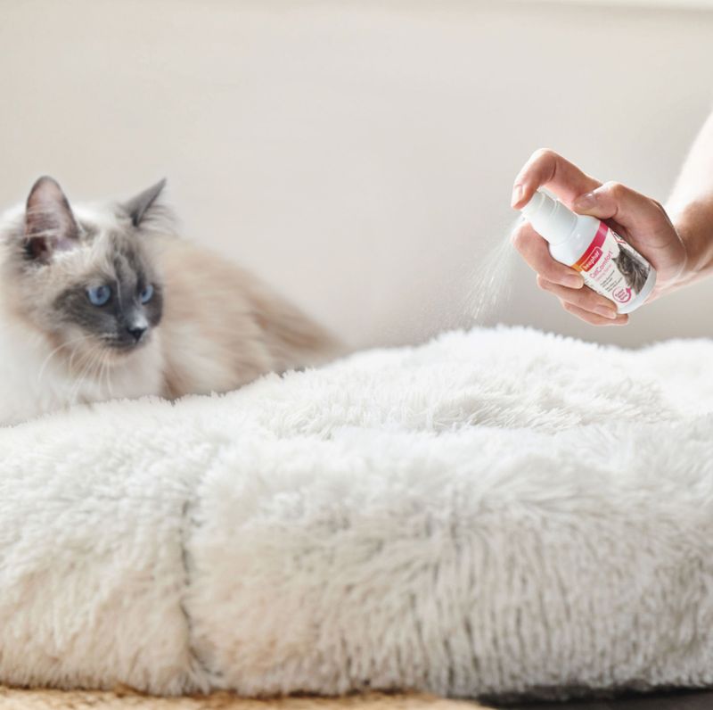 BEAPHAR CATCOMFORT 30ML