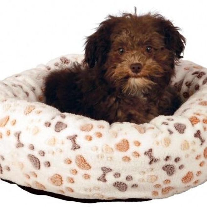 Hovedbilde TRIXIE LINGO SENG 60X55CM