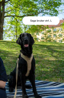 Yakatass Hundesele 