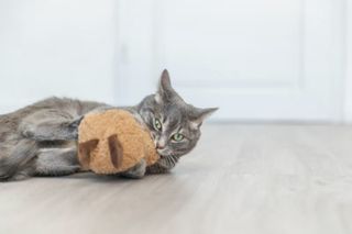 Katteleke Peanut XXL M/US Catnip 20cm
