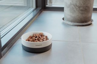 COMPANION+ HUNDEPØLSE WILD BOAR 350g