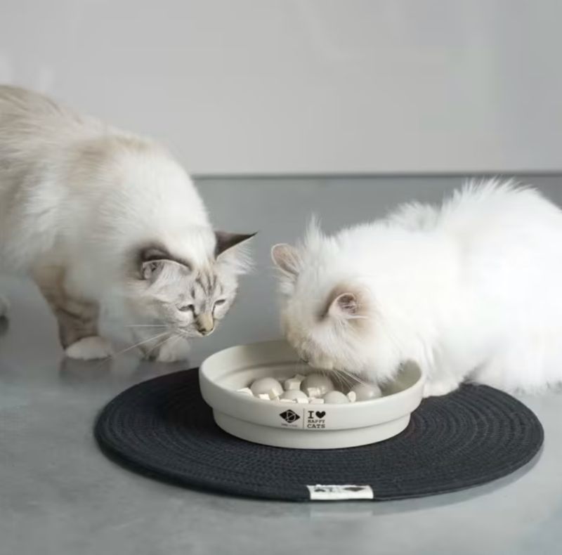 DUE CERAMIC SLOW FEEDER