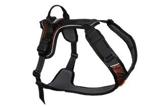 ROCK HARNESS