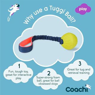 TUGGI BALL