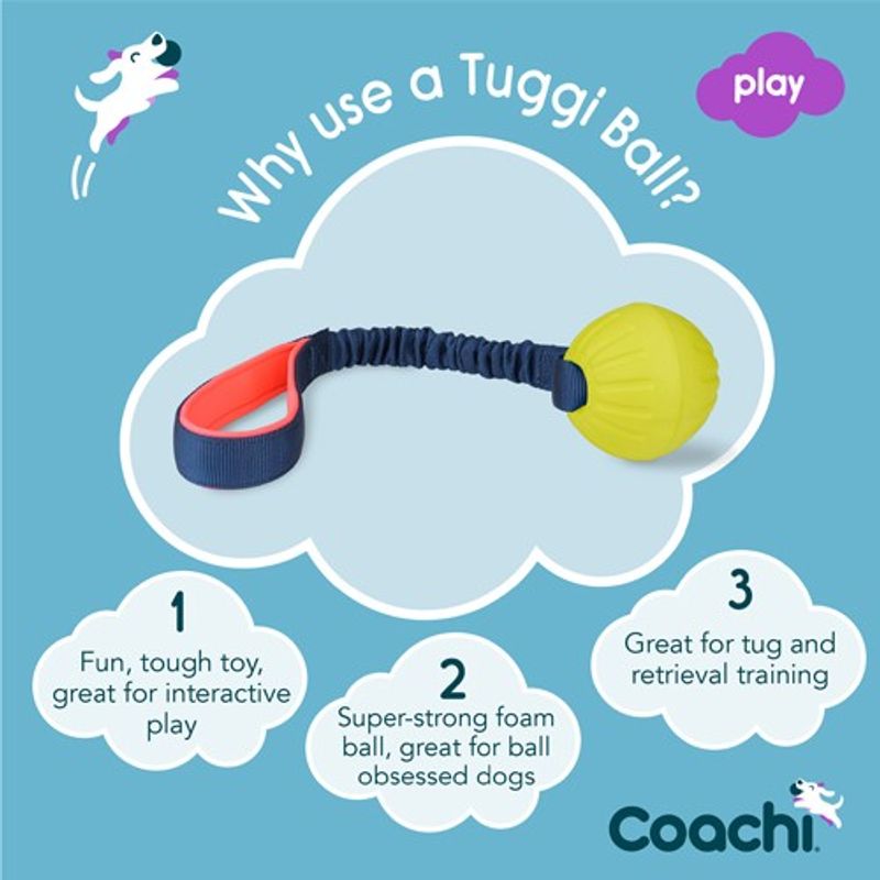 TUGGI BALL